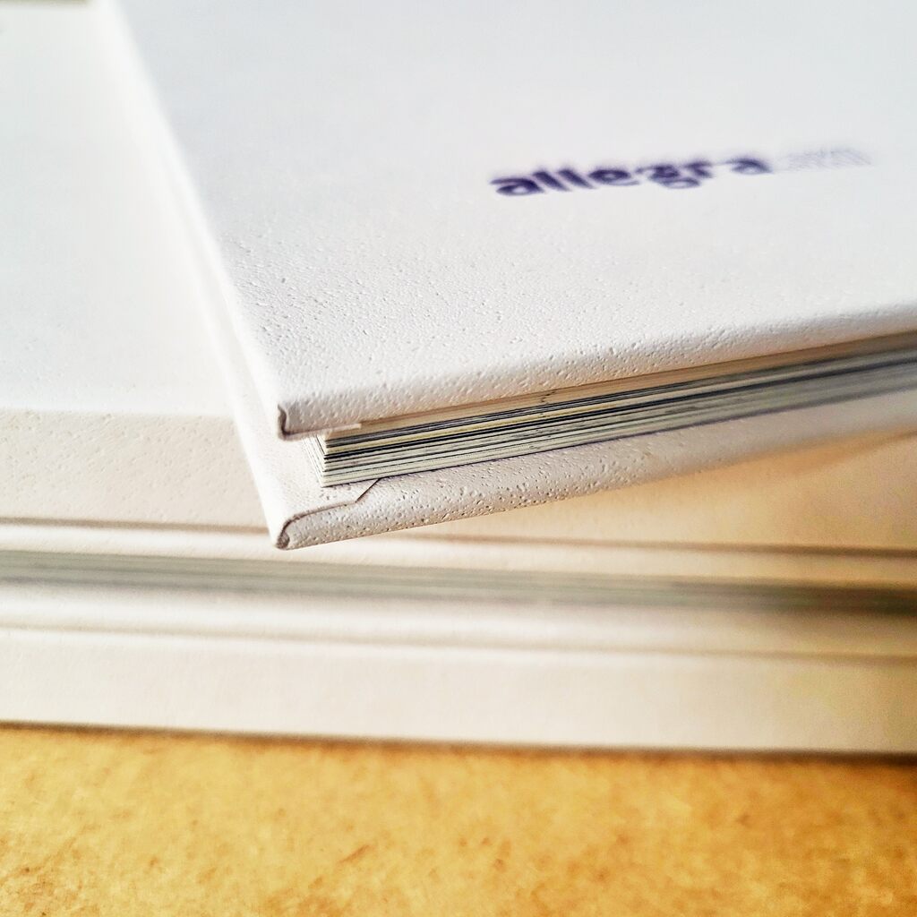 Jubileuszowy katalog Allegra Skibook 2025/2026